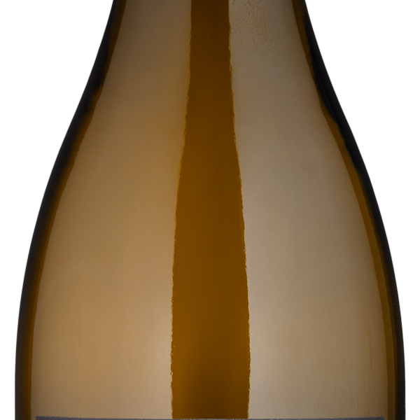 The Wines of Francis Coppola Vermentino