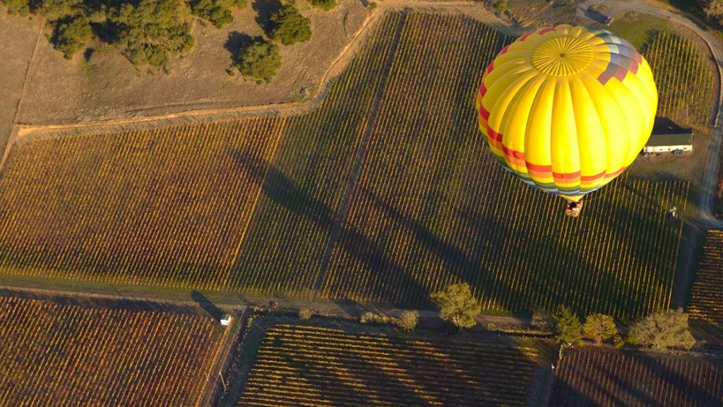 hot air balloon overhead view looking down on vineyards